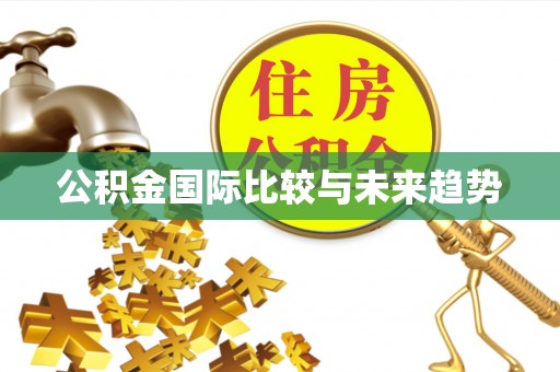 襄垣公积金国际比较与未来趋势