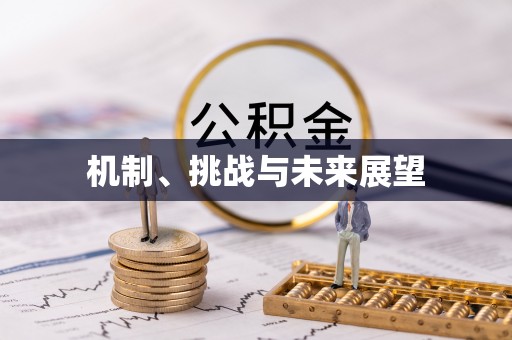 襄垣机制、挑战与未来展望